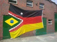 memes alemania brasil 2014