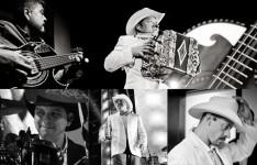 Videos de Grupo Pesado en vivo