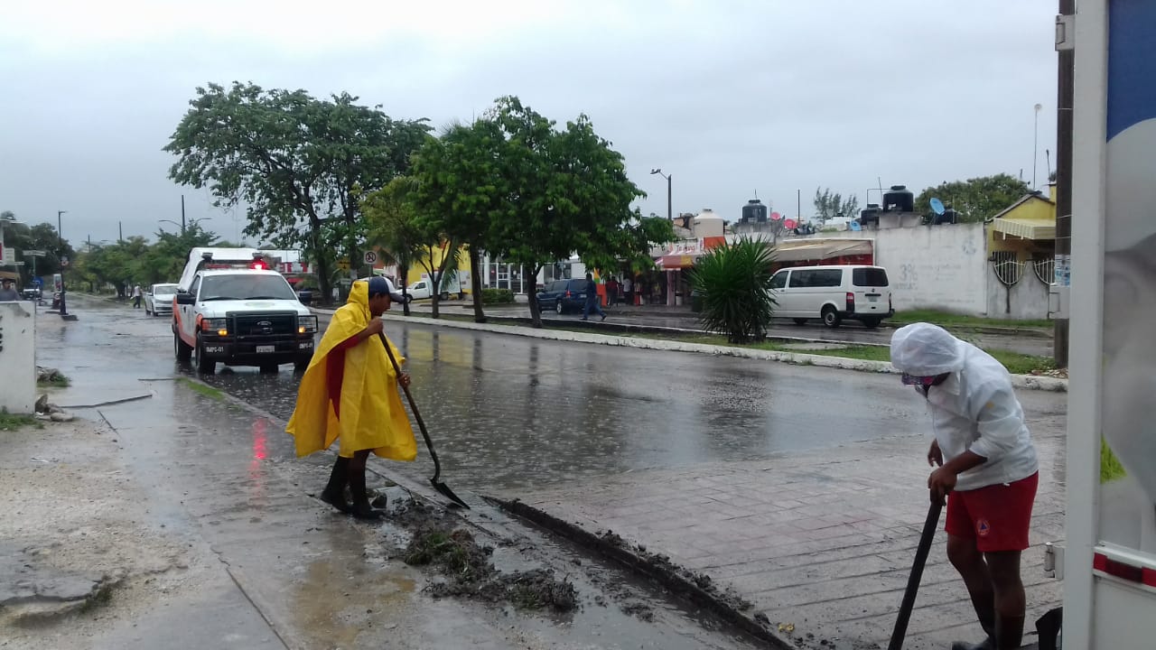 Seis colonias de Playa del Carmen,